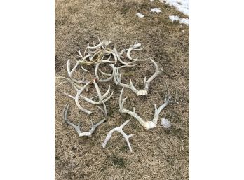 Large Lot Of Deer Antlers Great For Projects Or Man Cave Gotta Have Them