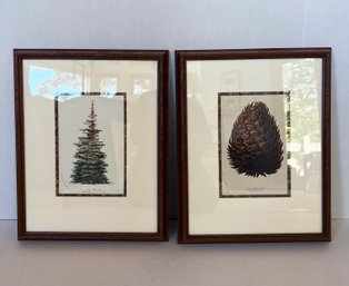 Charming Set Of Colored Etching Pine Cone Art- Lot 2