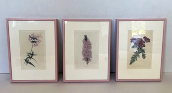 Sweet Vintage 1825 'King Of The Hill' Botanical Etchings- Lot Of 3