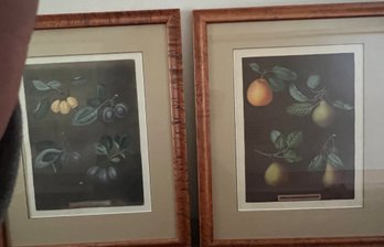 Lovely Vintage Botanical Rare Dark Background - Lot 2