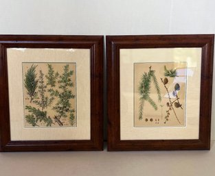 Stunning Art From Germany - Woodland - Lot 2