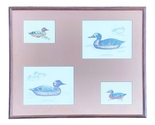 Duck Images By Brownlee And Duck Cross Stitch By Ann Modahl