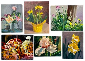 6 Gorgeous Original Still-life Flower Oil Paintings, Signed By Julia Jordan