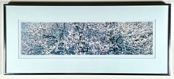 'Spring Snowshower And Apricot Blossoms' 20/200 Art Print, Signed By Artist Joseph Ciaglia