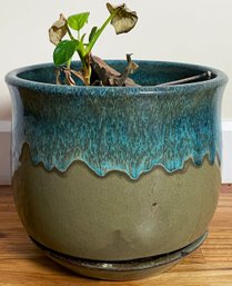 Pretty Glazed Plant Pot