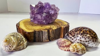 Amethyst Crystal And Shells
