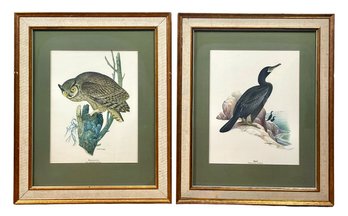 Pair Of S. Magno Bird Prints In Gorgeous Frames
