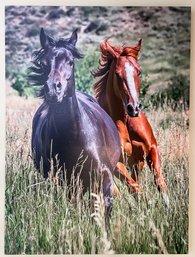 Large Majestic Horses Print On Canvas