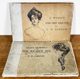 2 Large Antique Books By C. D. Gibson, Published In 1901