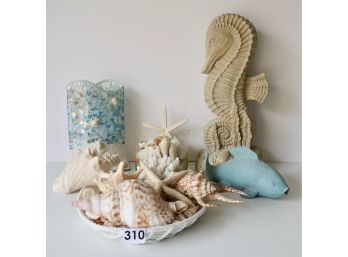 Shells, Coral, & More