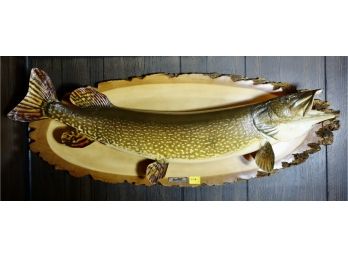 Very Large Northern Pike Taxidermy