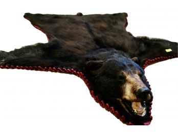 Black Bear Skin Rug On Felt With Head