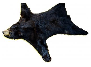 Black Bear Skin Rug On Felt With Head