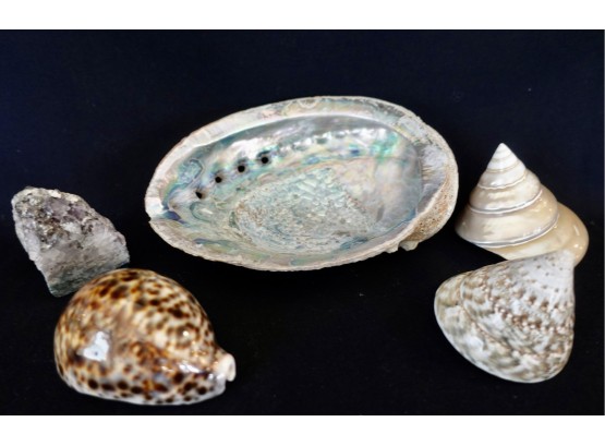 Abalone Shell, Amethyst, & More