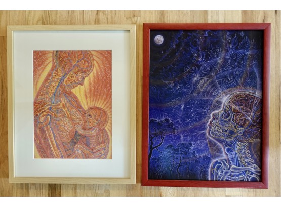 2 Alex Grey Framed Prints, 'Nursing' & 'Wonder'