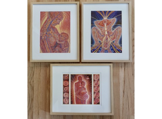 3 Framed Alex Gray Prints, 'Pregnancy', 'Birth', And 'Nursing'