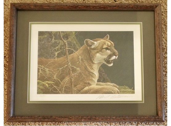 Signed Print Of Mountain Lion