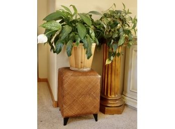 2 Live Plants On A Column Plant Stand And Woven Stool, AS IS