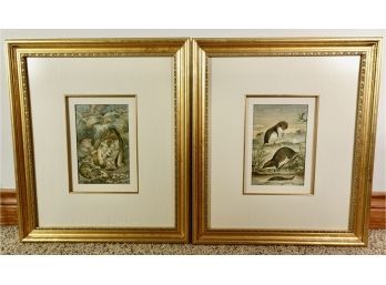 2 Beautiful Framed Wildlife Prints
