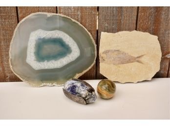 Sliced Geode, Fossil, And Stone Eggs