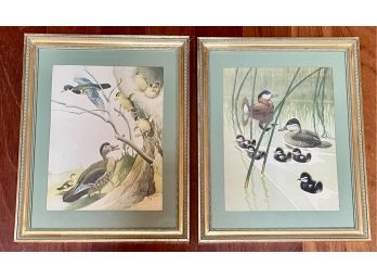 Pair Of Framed Ducklings, One Is Signed