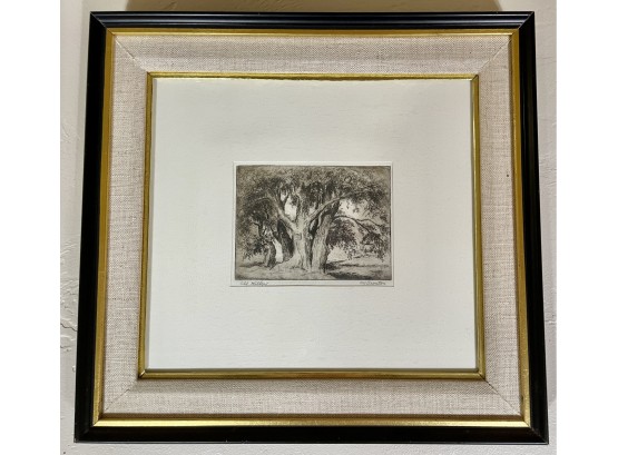 Signed Original 'Old Willow' By M Brenton