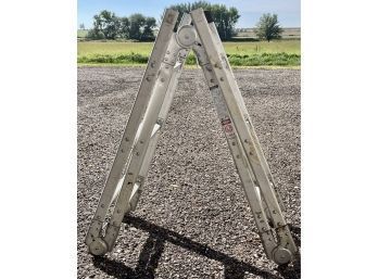 Adjustable 2 In 1 Step/extension Ladder