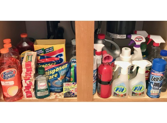 Cleaning Supplies & Fire Extinguisher