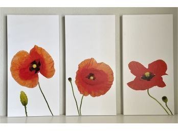 Poppies Triptych
