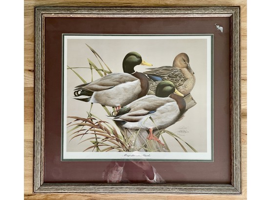 Signed & Numbered Ducks Unlimited Print Of The Year, 'Majestic Mallards'