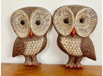 Cute Vintage Composite Owl Wall Hangings