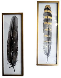 ART- Pair Of Feathers