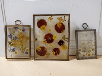 3 Pieces Of Pressed Flower/fruit Art.