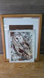 Beautiful Owl Print With Frame