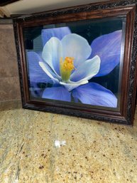 Frames Flower Art