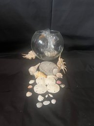 Glass Bowl  With Variety  Of Sea Shells