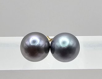 Gray Pearl 14K Gold Earrings 1.6 G 2.35 MM
