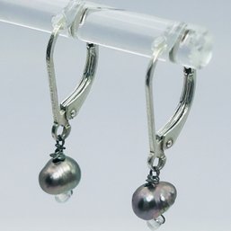 Sterling Silver Abalone Hinge Back Earrings, 1.06 G