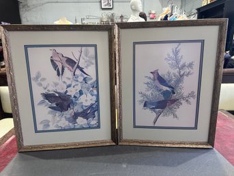 Set Of 2 Bird Prints - Matted With Gold Frame