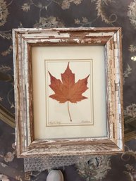 Lot Of Antique Windowpane Framed Leaf Decor By Kristina