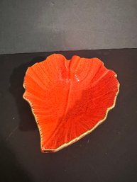 Orange Leaf Calif USA