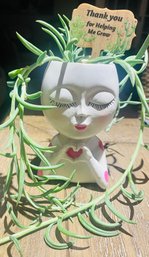 Heart Happy Face Planter With Radicans House Plant