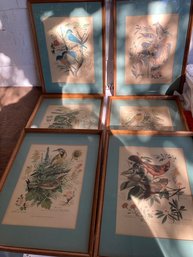 6 Framed Bird Prints By Artist Arthur Singer