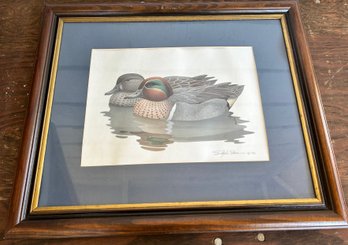 Richard Sloane Duck Print 1 Of 2