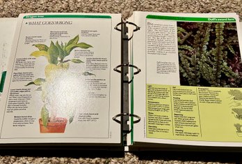 House Plant Disease & Care Diagnosis Manual