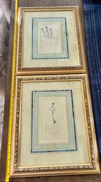 Vintage BOMBAY COMPANY, Texas Framed Floral Botanical Wall Art Prints