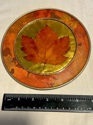 Preserved Maple Leaf Vintage Canadian Collectibles Fall Wall Decor