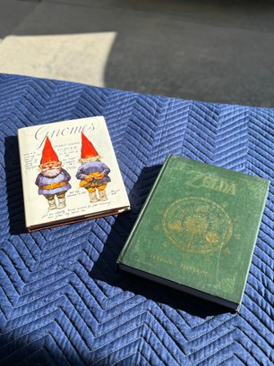 Gnomes And Zelda Hardcover Books