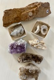 A Collection Of Rocks, Geodes, Minerals And Petrified Wood