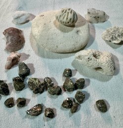 Rocks, Minerals, Coral Pieces
